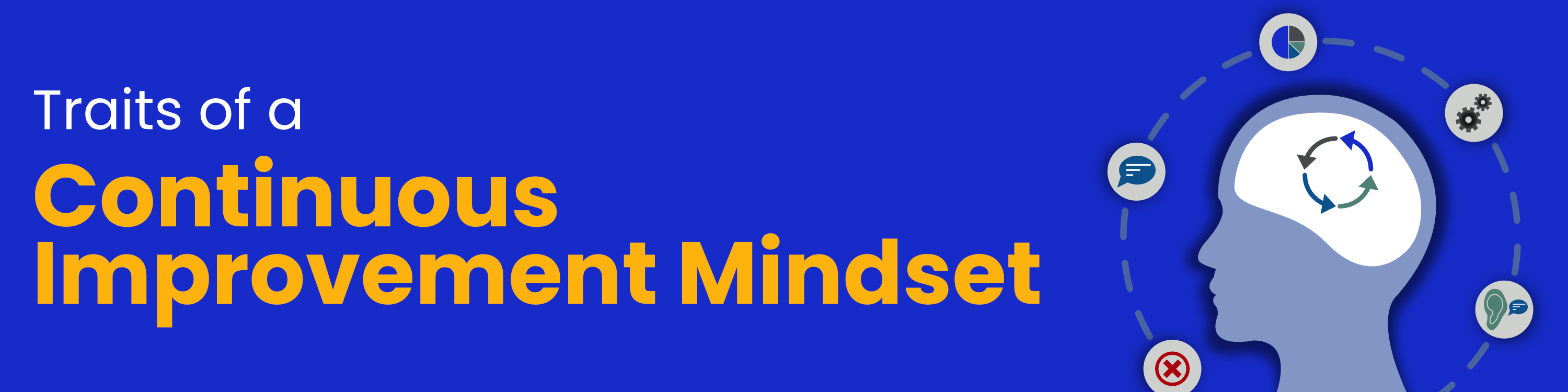 Continuous Improvement Mindset